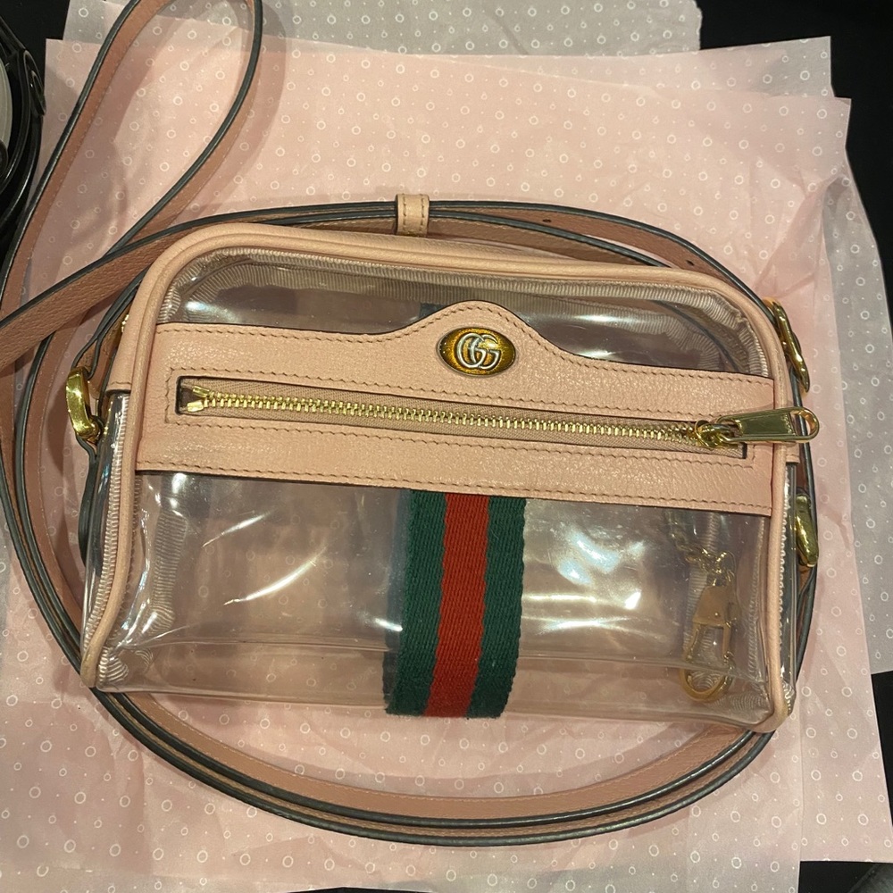 Gucci vinyl ophidia mini